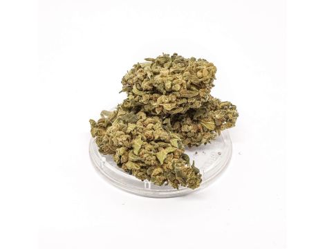 Sativa Poland Susz CBD Green C - 2